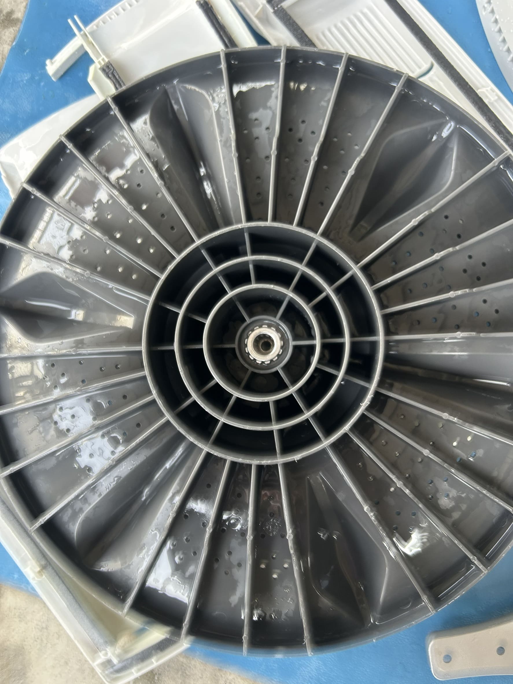 洗衣機轉盤清洗後